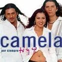Camela-group