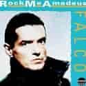 Falco-amadeus