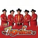 Tigrillos-midis