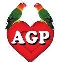agapornis-band