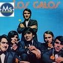 los_galos21