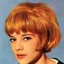 sylvie_vartan